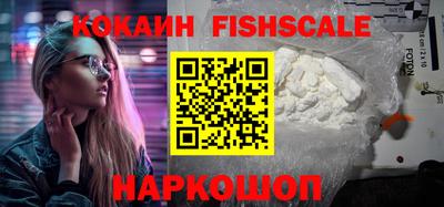 мдпв Партизанск